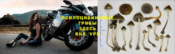 сатива Алексеевка