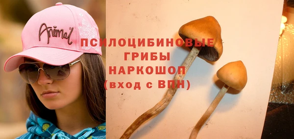 СК Алексин