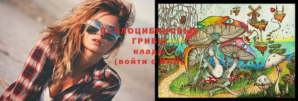 СК Алексин
