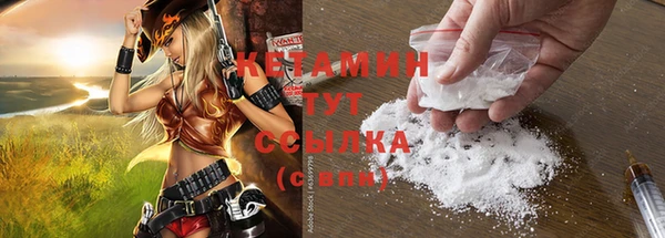 СК Алексин