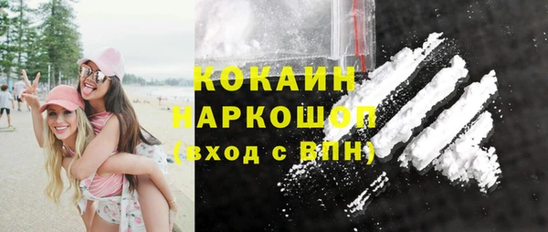 СК Алексин